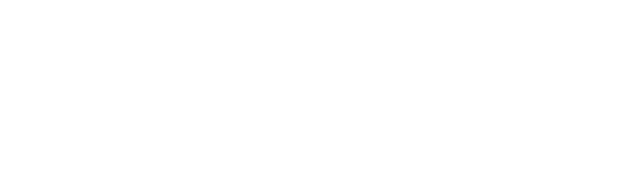 Performance Improvement Partners