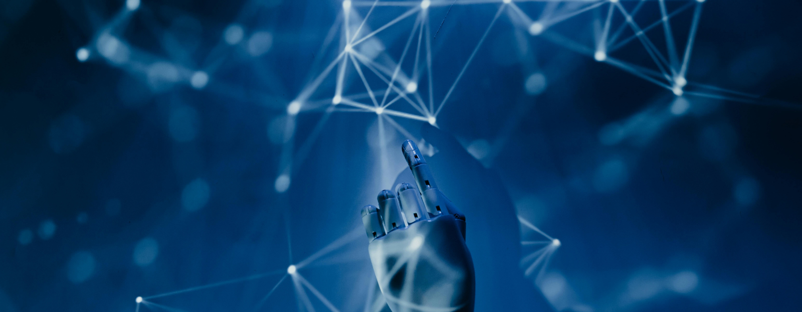 PIP’s AI PoV: Differentiated Results Come from Tailored AI Solutions